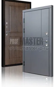 Уличная дверь TD-Северный луч | Фото 17241