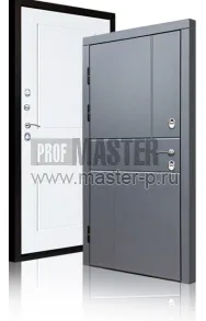 Уличная дверь TD-Северный луч | Фото 17244