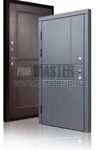 Уличная дверь TD-Северный луч | Фото 17238