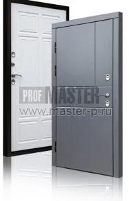 Уличная дверь TD-Северный луч | Фото 17247