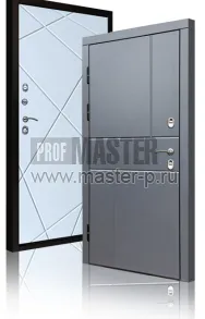 Уличная дверь TD-Северный луч | Фото 17250