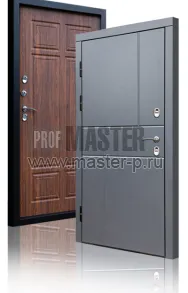 Уличная дверь TD-Северный луч | Фото 17259