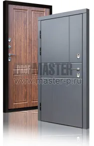 Уличная дверь TD-Северный луч | Фото 17262