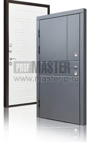 Уличная дверь TD-Северный луч | Фото 17268