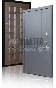 Уличная дверь TD-Северный луч | Фото 17274