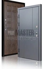 Уличная дверь TD-Северный луч | Фото 17271