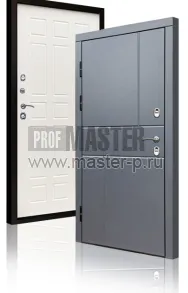 Уличная дверь TD-Северный луч | Фото 17277