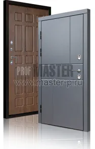 Уличная дверь TD-Северный луч | Фото 17280