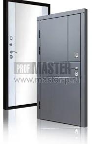 Уличная дверь TD-Северный луч | Фото 17223