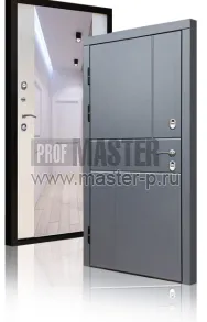 Уличная дверь TD-Северный луч | Фото 17229