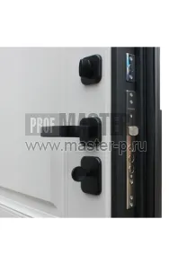 Входная дверь Валенсия | Фото 17754