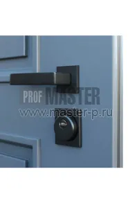 Уличная дверь AD-Бишорн | Фото 18129