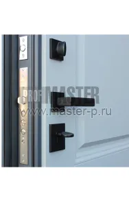 Уличная дверь AD-Бишорн | Фото 18138