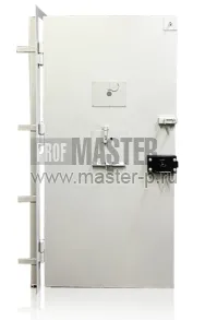 Камерная дверь ДК 1 | Фото 18189