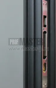 Входная дверь Спарк Био KL | Фото 18834