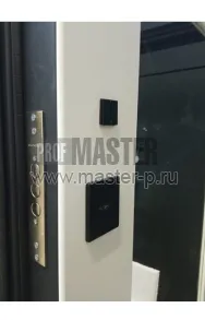 Входная дверь Кипро Био скрытые петли | Фото 19101