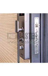 Входная дверь Атро Био | Фото 19323