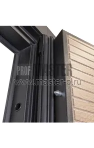 Входная дверь Атро Био | Фото 19326