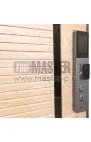 Входная дверь Атро Био | Фото 19335