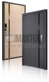 Входная дверь Атро Био