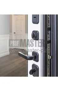 Входная дверь Доминика Z | Фото 19371