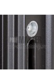 Входная дверь Доминика Z | Фото 19374