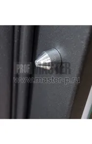 Входная дверь Доминика Z | Фото 19377