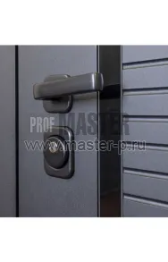 Входная дверь Доминика Z | Фото 19386