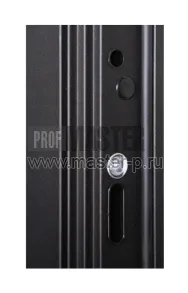 Входная дверь Планум | Фото 20118