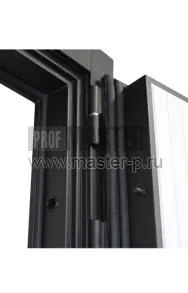 Входная дверь Планум | Фото 20127