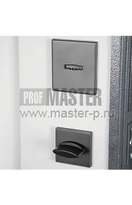 Уличная дверь AD-Полис | Фото 20433