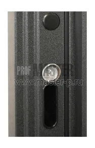 Уличная дверь AD-Полис | Фото 20448