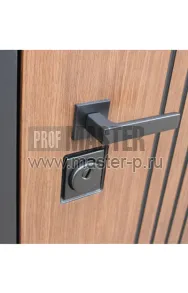 AD-Президент Z | Фото 20520