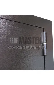 Входная дверь Комфорт Z АСД | Фото 20553