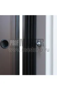 Входная дверь Фараон АСД | Фото 20601