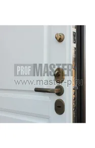 Входная дверь Фараон АСД | Фото 20607