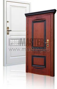 Входная дверь Фараон АСД | Фото 20586