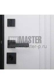 Входная дверь Тезоро | Фото 20625