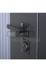 Входная дверь Тезоро | Фото 20637