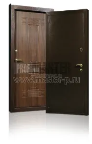 Уличная дверь Норд 2 | Фото 1204