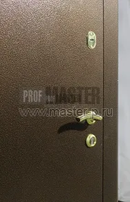 Уличная дверь Норд 2 | Фото 1208