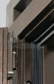 Уличная дверь Норд 2 | Фото 1210