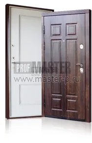 Уличная дверь Норд 3 | Фото 1224