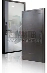 Входная дверь Электроник Форт ARG Z | Фото 22101