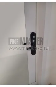 Входная дверь Биометрика Z KL | Фото 22218