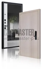 Входная дверь Биометрика Z KL