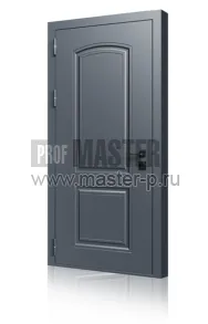 Уличная дверь Штамп 3 LD | Фото 22512