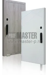 Входная дверь Стар Инвизибл | Фото 22767