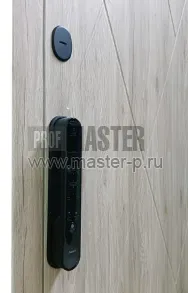 Входная дверь Стар Инвизибл | Фото 22773