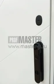 Входная дверь Стар Инвизибл | Фото 22779